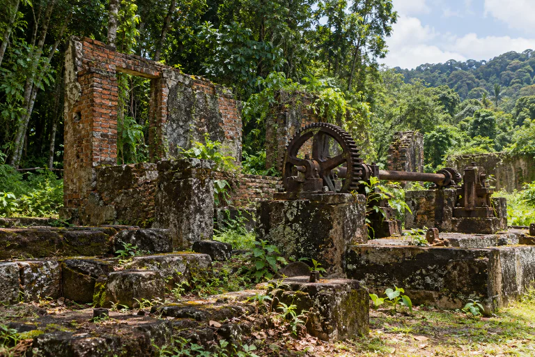 Mémoire des lieux et transformations du bâti — Guyane