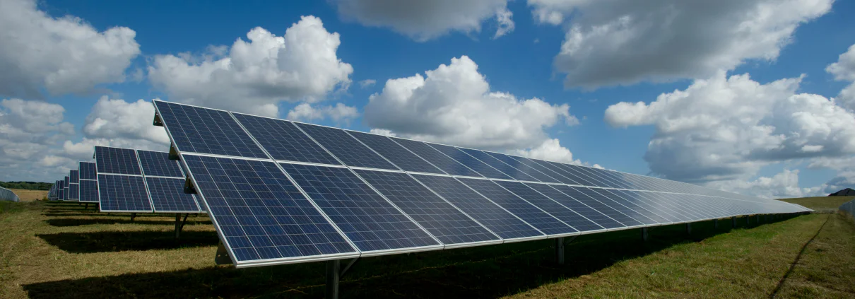 Panneaux solaires photovoltaïques installés dans un champ verdoyant