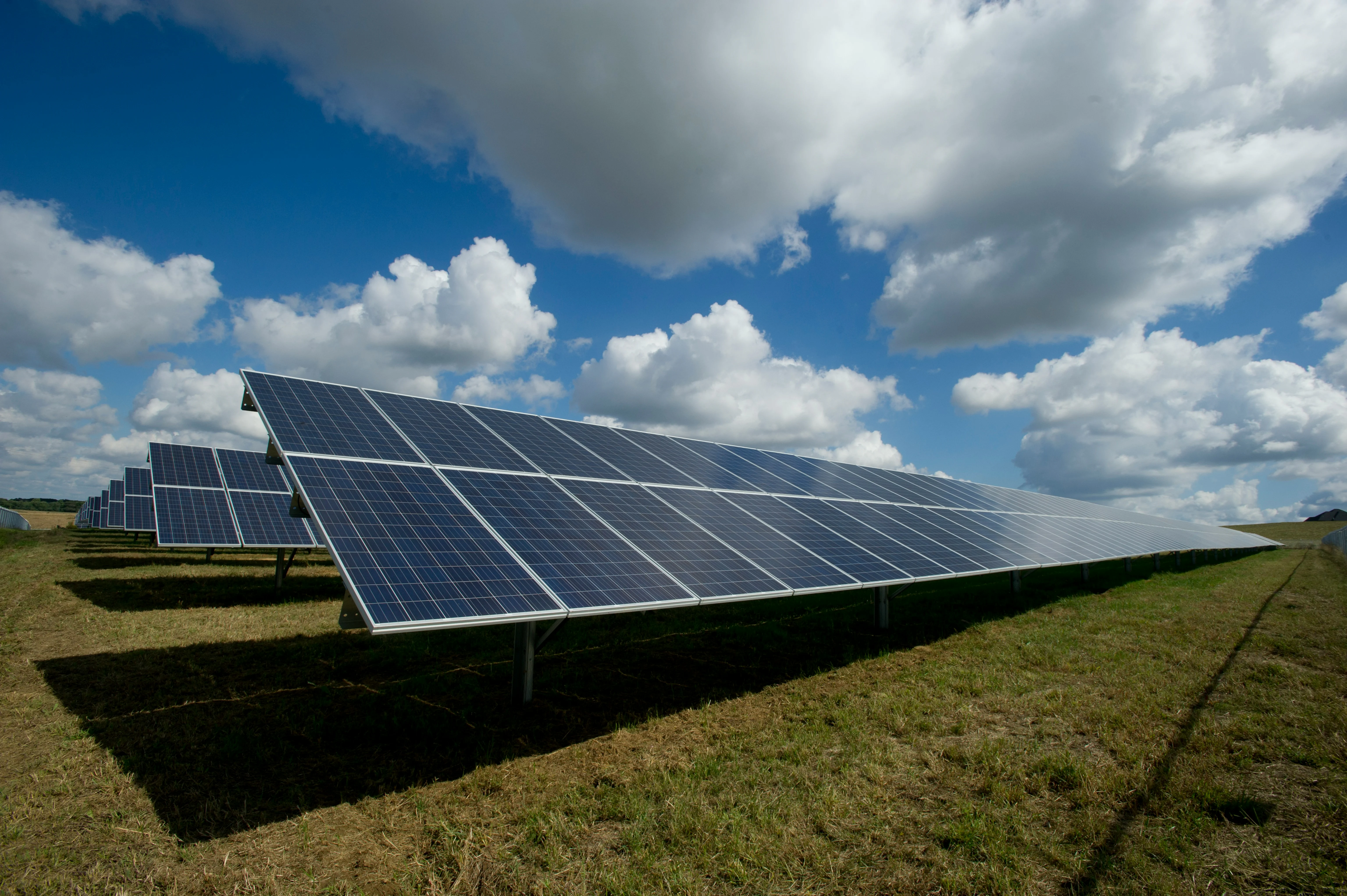 Panneaux solaires dans un champ verdoyant